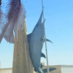 Ausfahrt in Boujdour