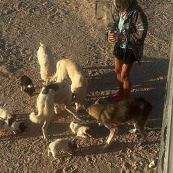 Gäste zum Abendbrot