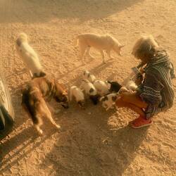 Susannenringt wieder Gäste mit🥰