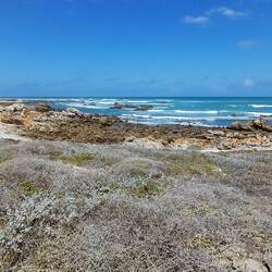 noch ein Blick auf die Meere