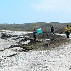 die Putzkollonne räumt den Müll weg - danke !!
