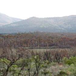 auf der Hochebene brennt es immer wieder