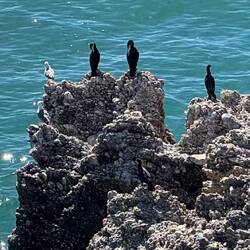 die Jäger auf der Klippe