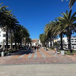 auch in der Stadt ist richtig viel Betrieb