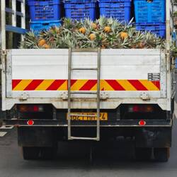 Frisch vom Acker... Direktorder von AldiNord