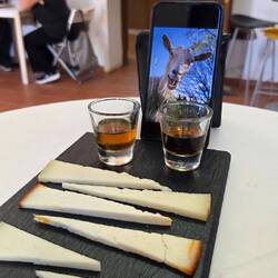 Käseverkostung im Käsemuseuum