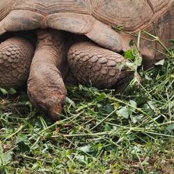 Erstmal dann Akku wieder aufladen