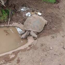 Und hier dann bei der Zustellung 😜