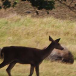 Und steht sinnlos in der Gegend rum