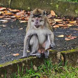 Chefffffe in the Hood !!!