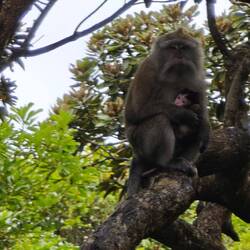 Chefffffe Frau mit "Anhängsel"
