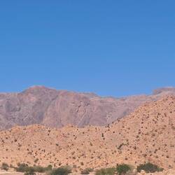 Wer erkennt den Löwenkopf