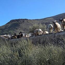 Neugierig ohne Ende 😄