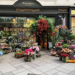 How is this for a florists?