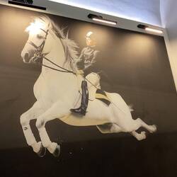 One of the Lipizzaner movements, note the rider has no stirrups!