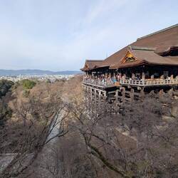 Schöner Blick über Kyoto. Wenn in ein paar Wochen die Kirschblüte blüht bestimmt noch toller.