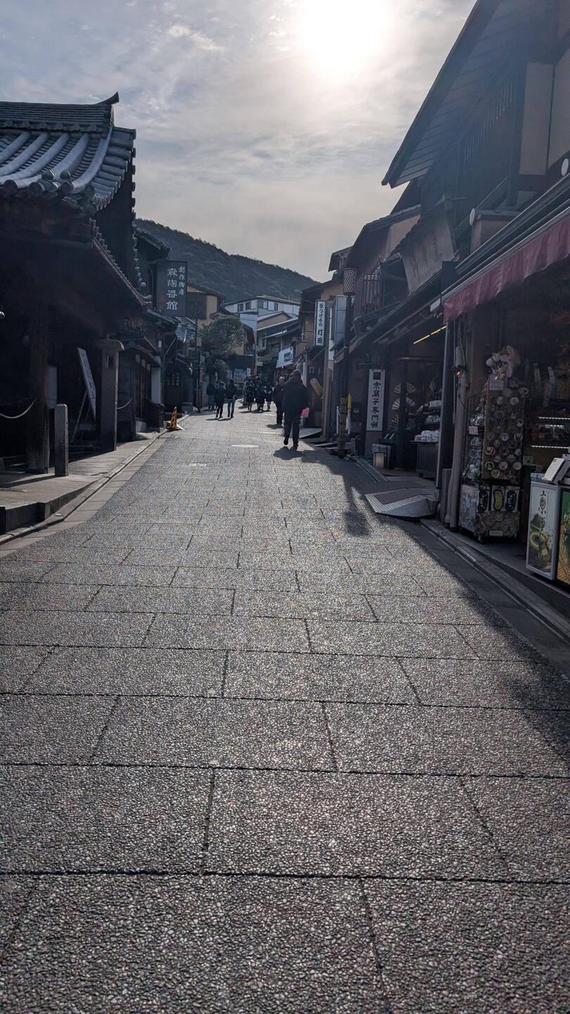 Auf dem Weg zum nächsten Tempel in Kyoto.