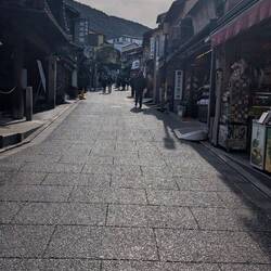 Auf dem Weg zum nächsten Tempel in Kyoto.