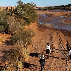 Spotted en route to the village