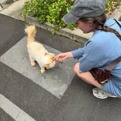 Will den mitnehmen 😮‍💨 seine Nase hat übrigens schon vorher gefehlt, die zerdrücke ich ihm nicht.