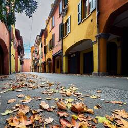 Fall is in the air — Bologna, Italy.