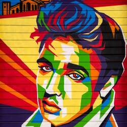 Colorful mural of Elvis with Santuario di San Luca— Bologna, Italy.