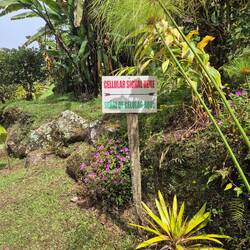 Ein beschidertes Mobilfunksignal