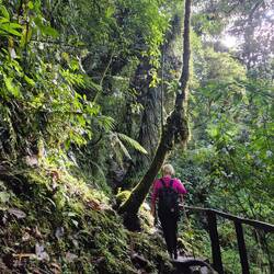 Wanderung ,Las tres Cascades'