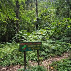 Dieser bunte Vogel lässt sich aber nicht blicken