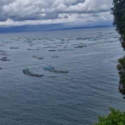 Titicacasee ca. 9000km2 mit Forellenzucht