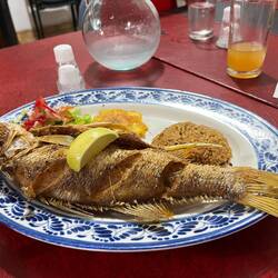 Our fried corvina fish lunch in an Afro Carrie restaurant. Really delicious despite the appearance.