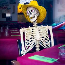 At a Mexican cantina near our AirBNB — Bologna, Italy.