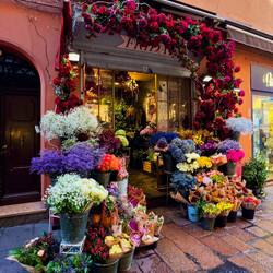 Via Pecherie Vecchie ... fresh flowers — Bologna, Italy.