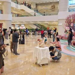 Hunde Fotoshooting 🤭