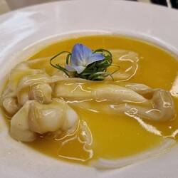 Schwertmuschel mit gestocktem Eiklar, lecker