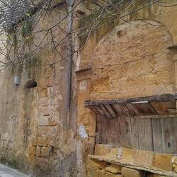 Baum hält Haus 🫣