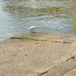 Mittagessen wird gesucht 😂