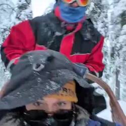 Berg auf brauchen die Hunde ein bisschen Hilfe