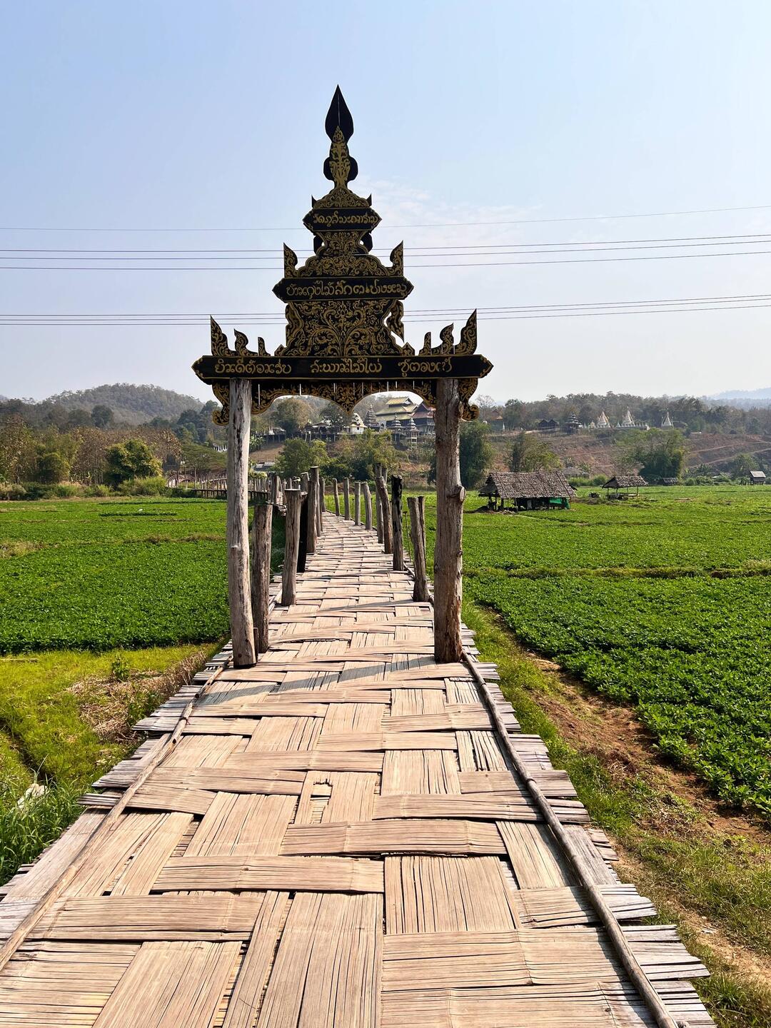 Bambusbrücke durch die Reisfelder