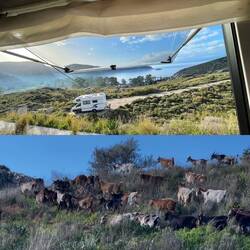 Calimera ☀️🇬🇷 guten Morgen☀️🇬🇷heute erst um 9.30h und dann Brunchen bis mittags 😅