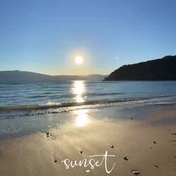 🧡💛🧡🌅🧡💛🧡