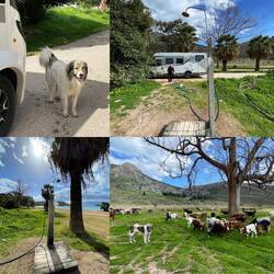 ..und zu Mittag am Strand treffen wir beim Wasser Füllen auf die selbe Herde nochmal 👍🏻😍