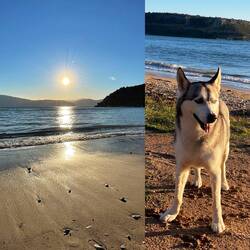 ..gleich am ersten Abend lernen wir Jürgen und seine Hündin kennen.Die Hunde spielen u.wir Plaudern👍🏻