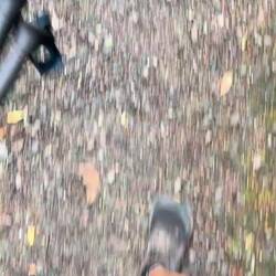 Last 1 km. of Te Araroa