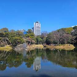 Ancien et moderne en 1 photo