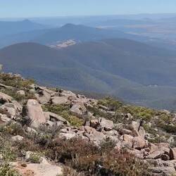 Aussicht vom Mt. Wellington/Kunanyi