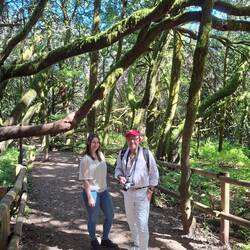 Parque Nacional de Garajonay