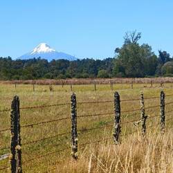 ...und danach beherrscht der Vulkan Osorno das Bild