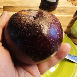 Chilenische Riesenpflaume (heißt wirklich so)