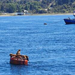 Die Burschen lungern überall rum